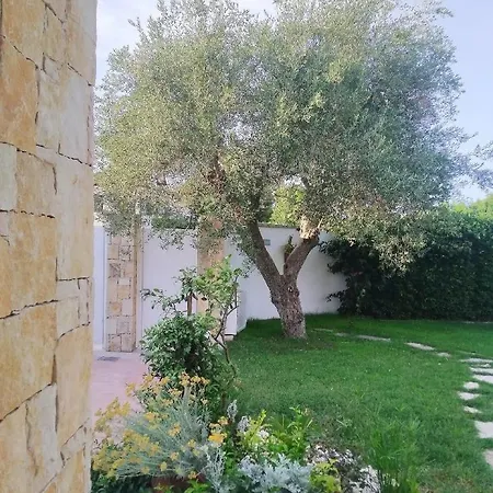Allegra * Trani