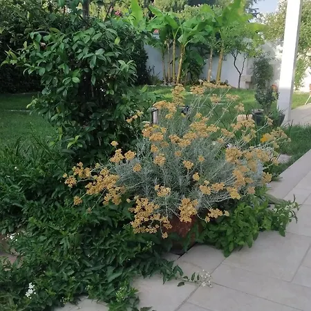 Allegra Oda ve Kahvaltı *